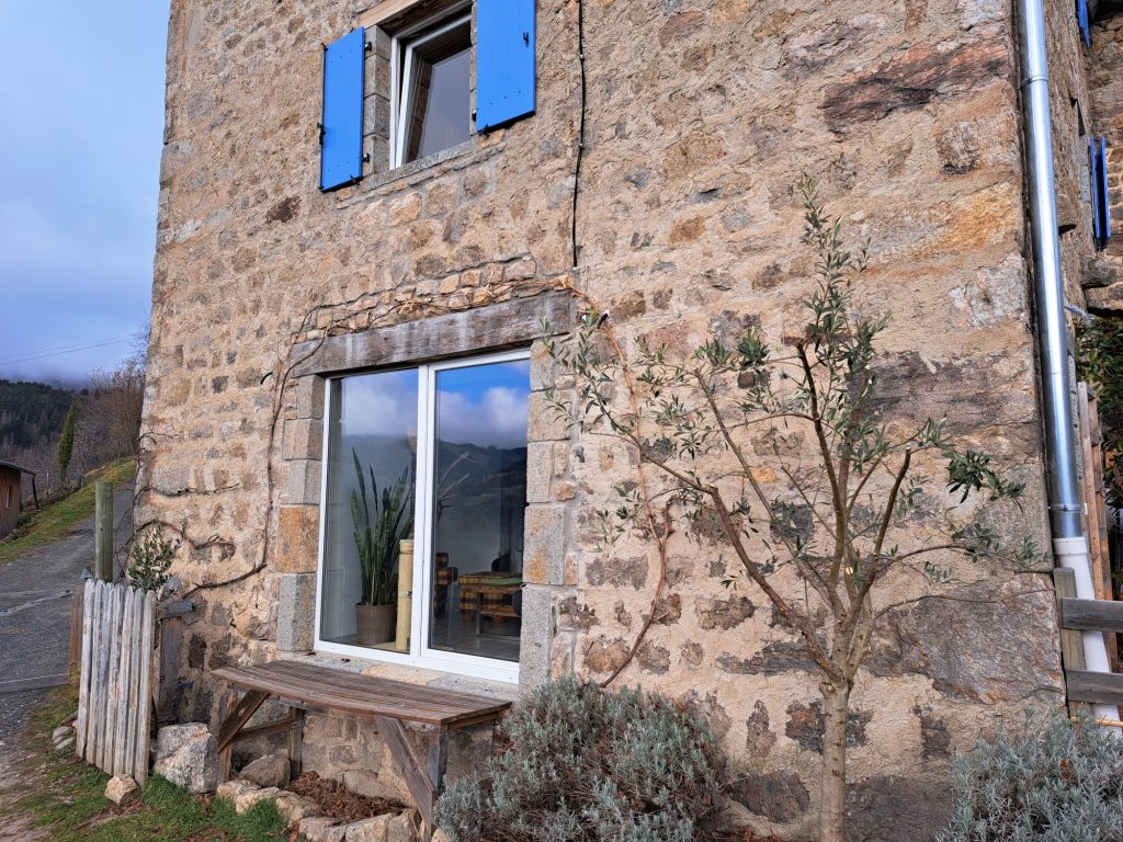 Olivenbäume und Weinreben an der Fassade